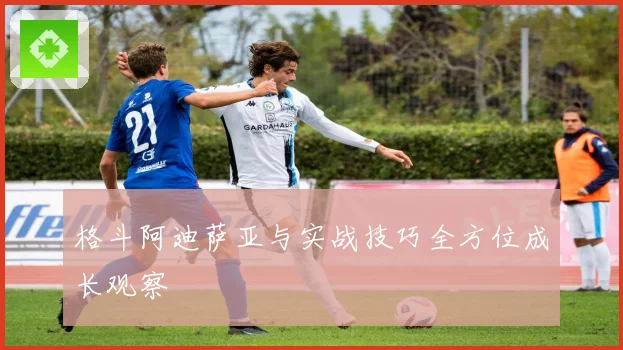 格斗阿迪萨亚与实战技巧全方位成长观察