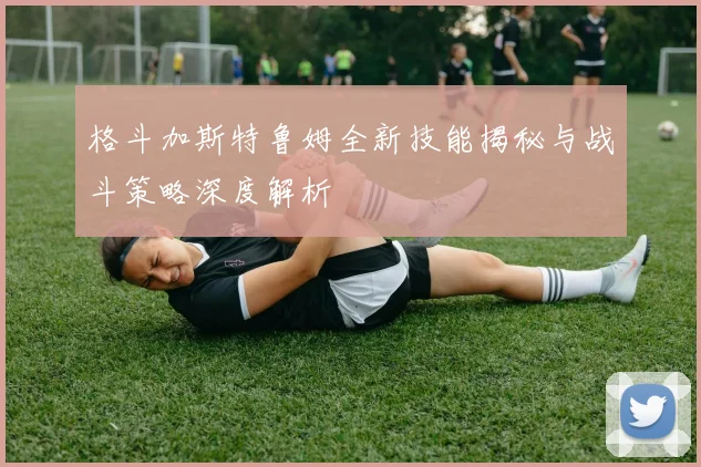 格斗加斯特鲁姆全新技能揭秘与战斗策略深度解析