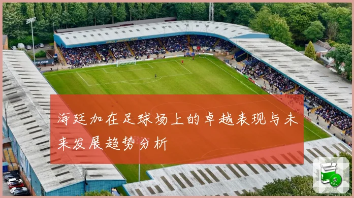 海廷加在足球场上的卓越表现与未来发展趋势分析
