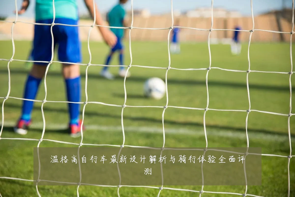 温格高自行车最新设计解析与骑行体验全面评测